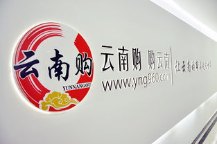 云南购，购云南 奥远科技助力云南商品与品牌走向世界